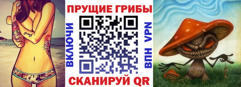 Галлюциногенные грибы Psilocybine cubensis  Орехово-Зуево 